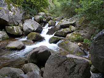 cascade du cady.jpg