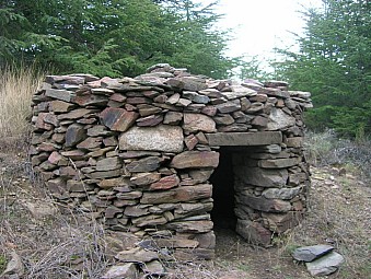 orry de carmaju.jpg