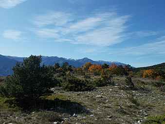 El Crest