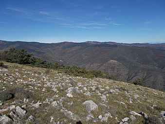 roc Journac