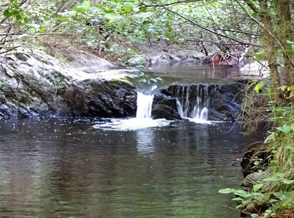 ribera d'orbanya