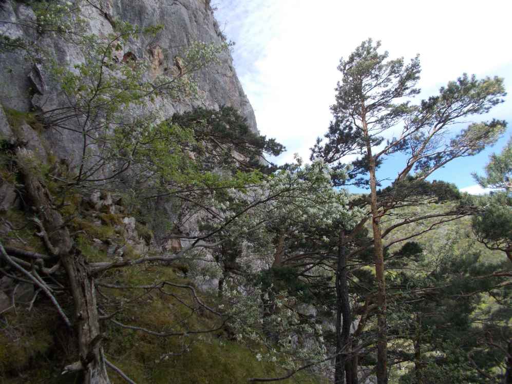 ascension vers le roca Roja
