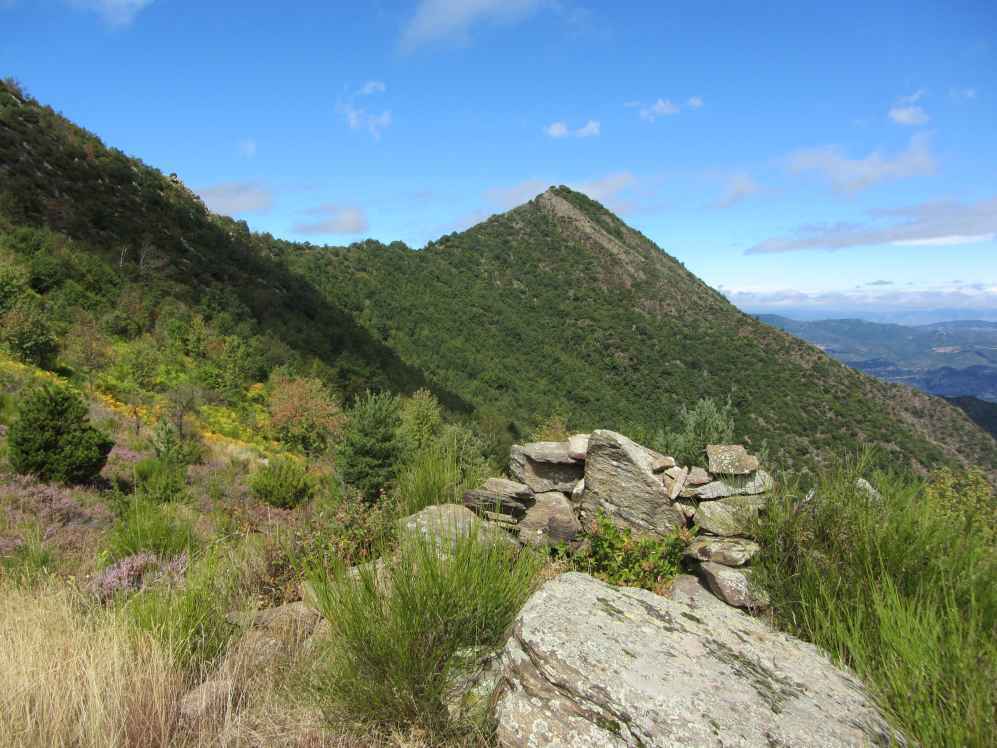 puig des maurous