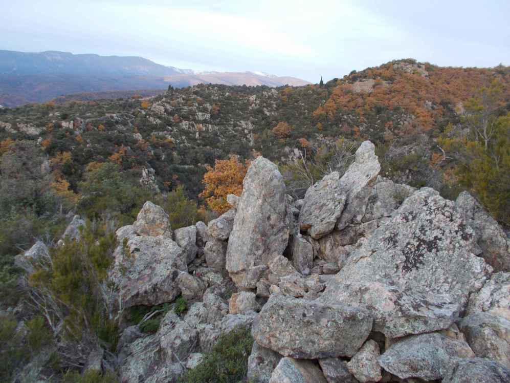 garrigue