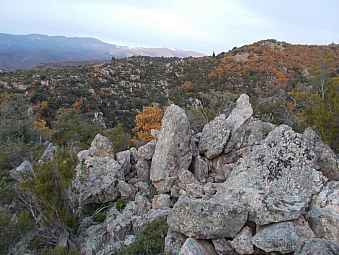 garrigue.jpg