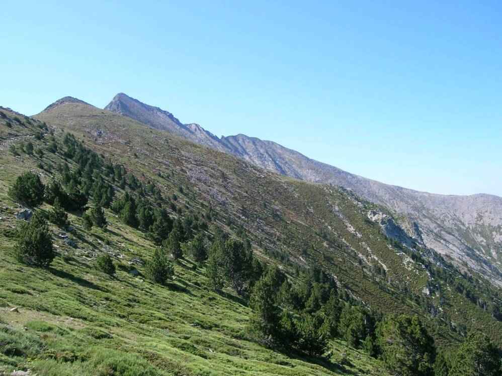 monte du Canigou