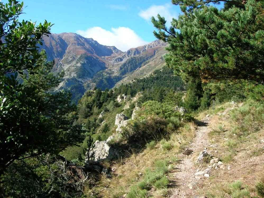 serre del roc ngre