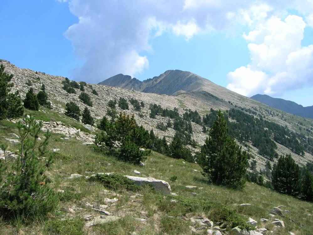 crte du Quazemi