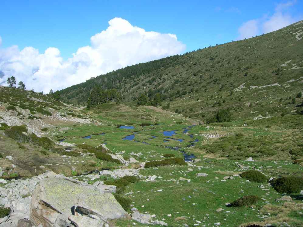 gourgs du cady