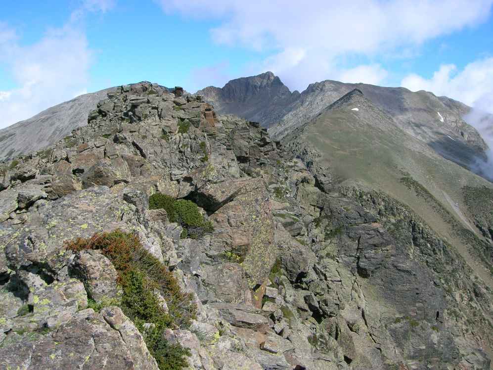 puig sec