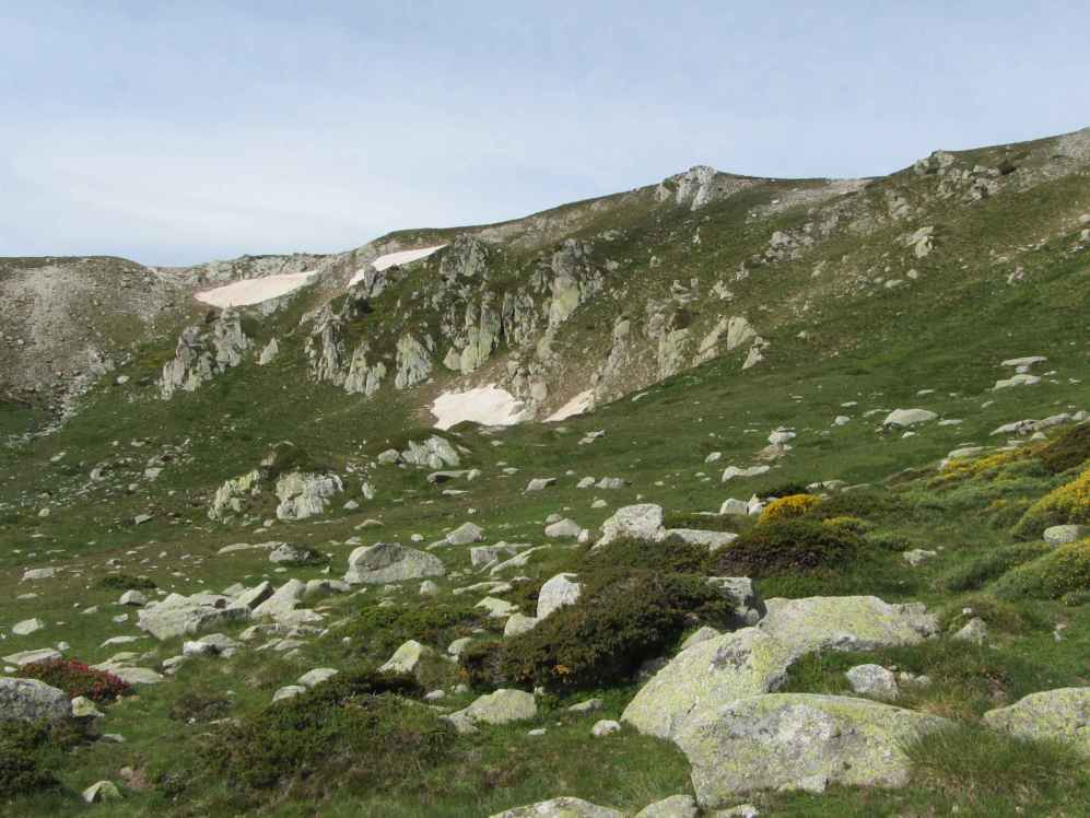 pla segala
