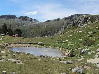 les conques.jpg