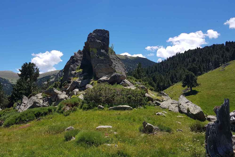 crete des collets verts
