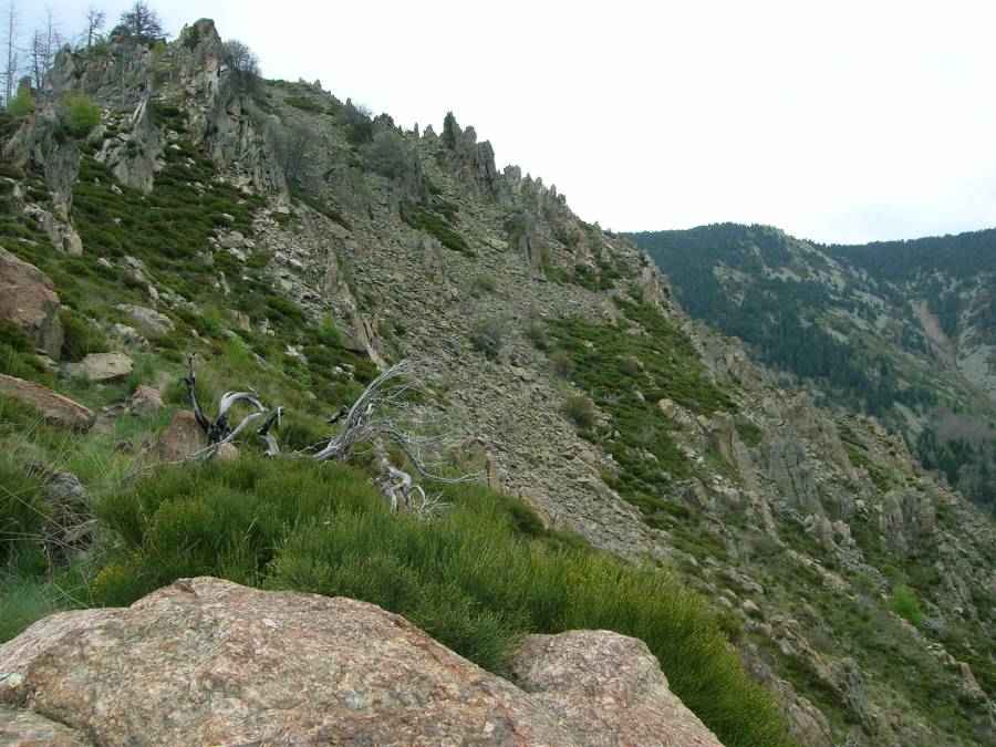 pic de la segalisse