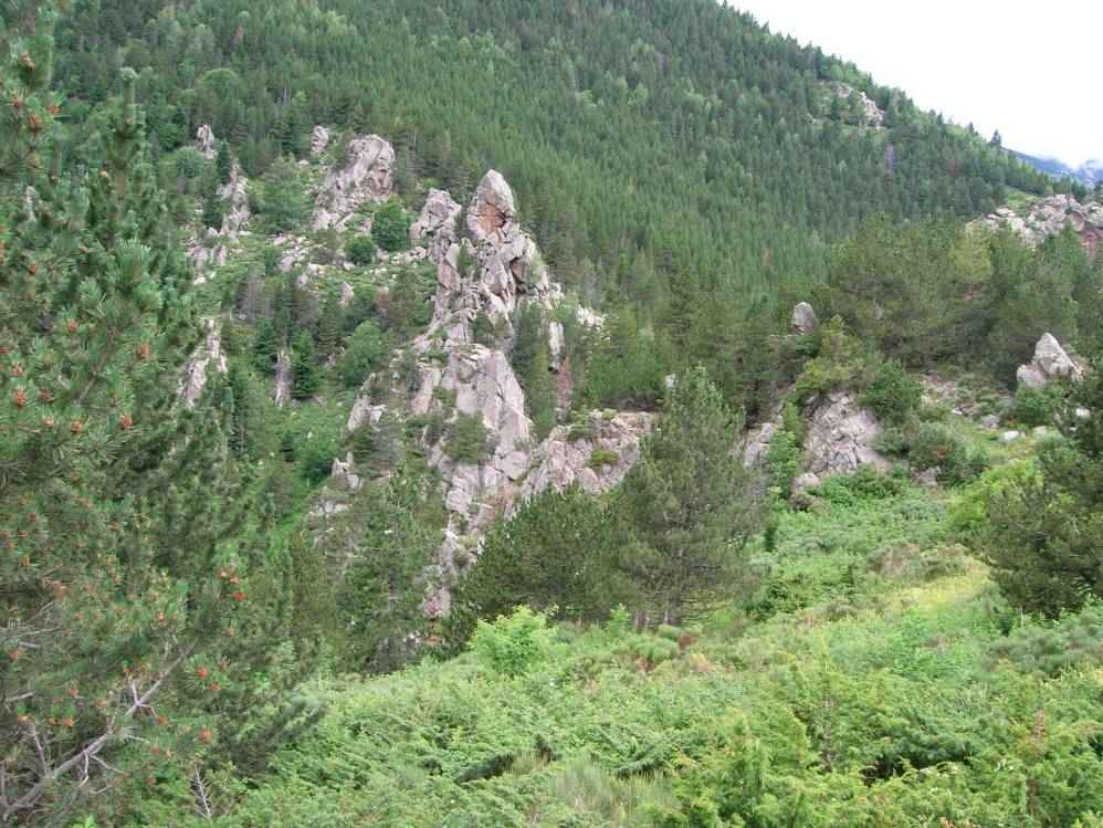 les orriets
