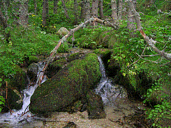 ruisseau%20des%20clots.jpg