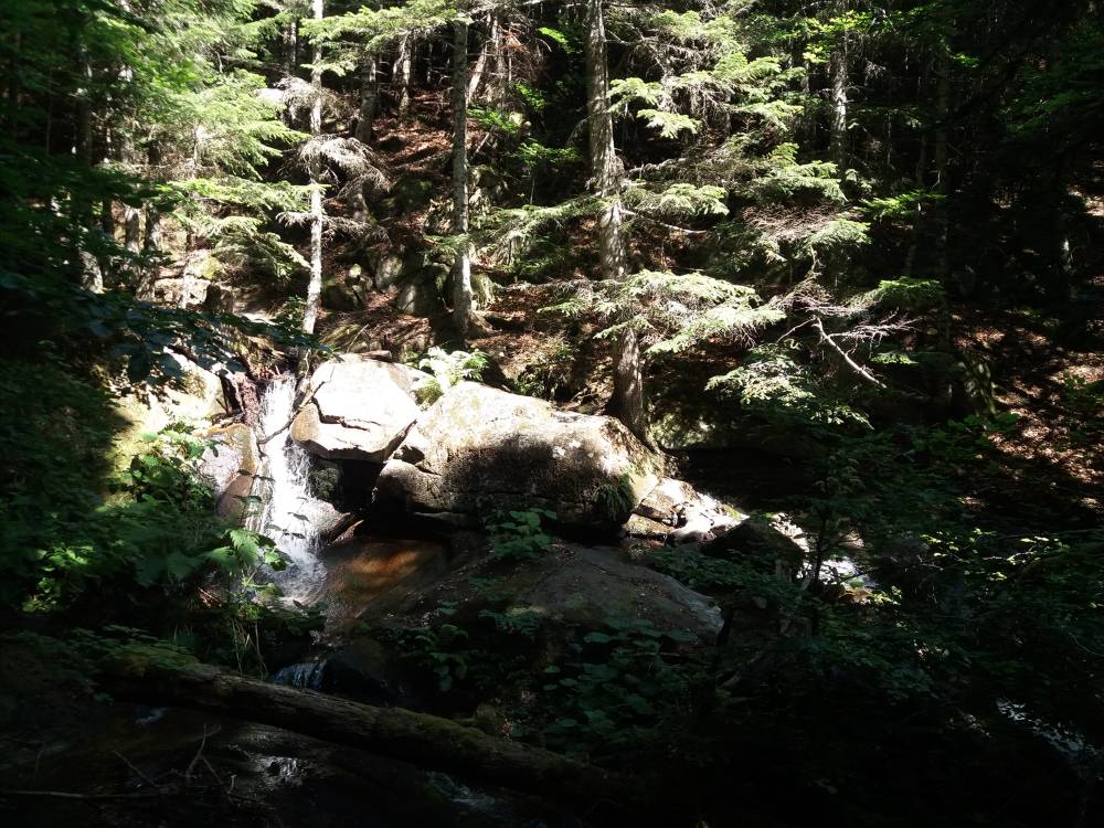 cascade de canrec.jpg