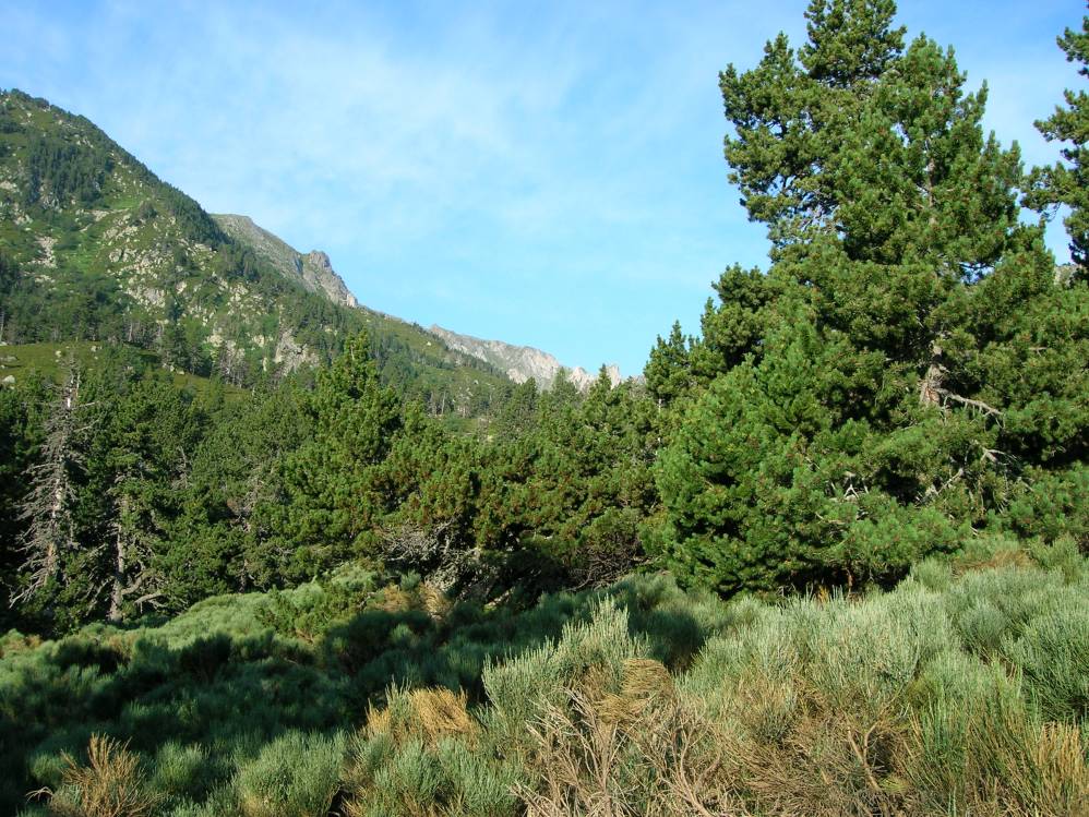 Casteillanes