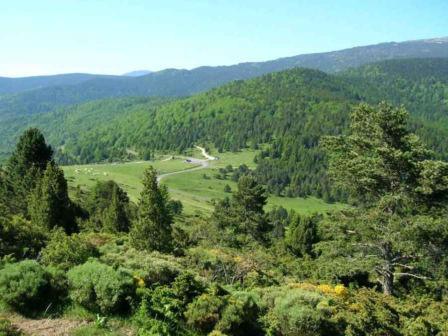 col de Jau