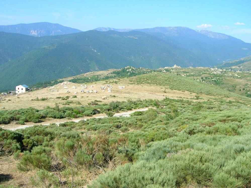 cabane du berger