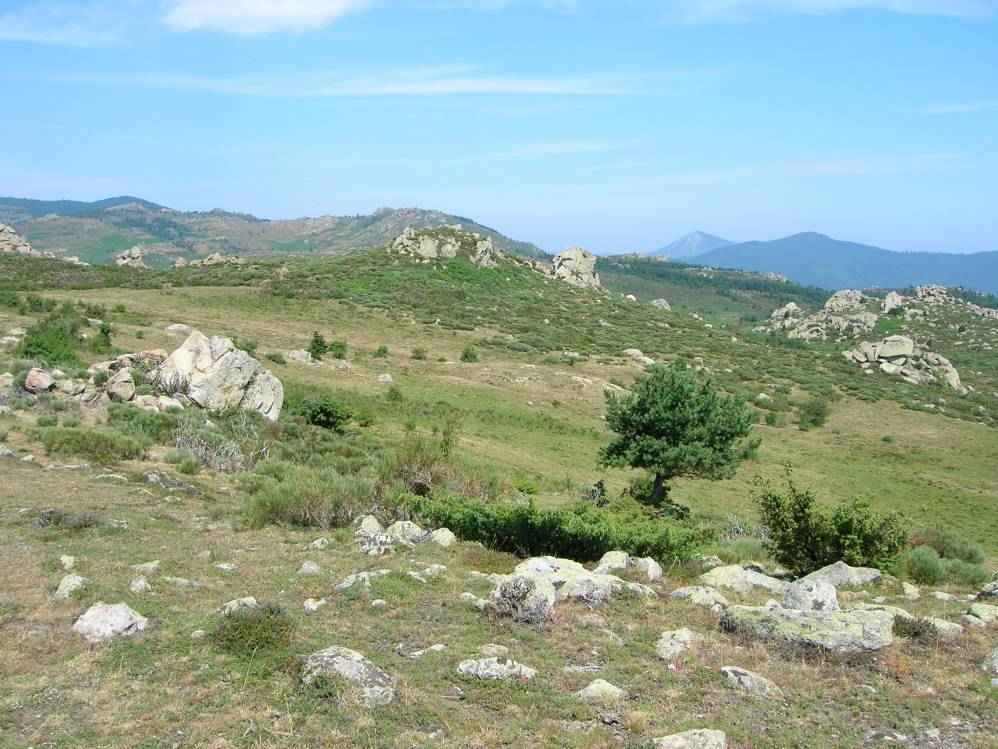 vue du pic roussillou
