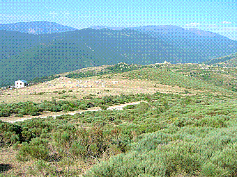 cabane du berger.jpg