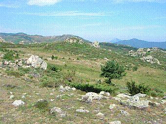 vue du pic roussillou.jpg