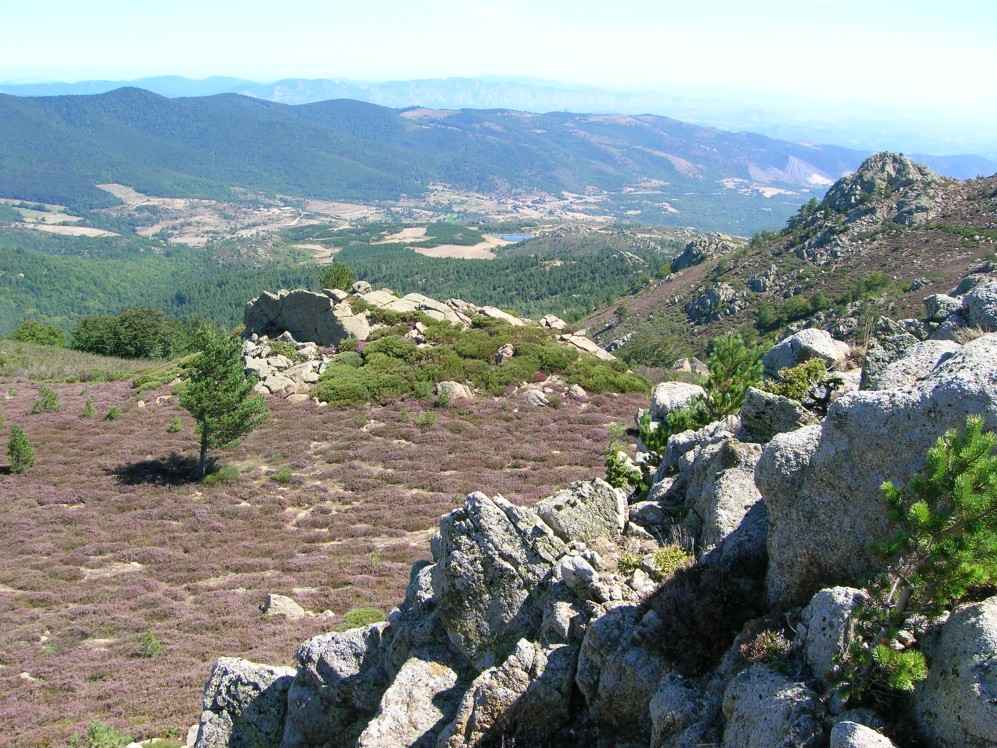 Sournia