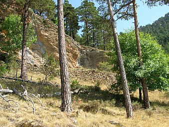cortal eyxen.jpg