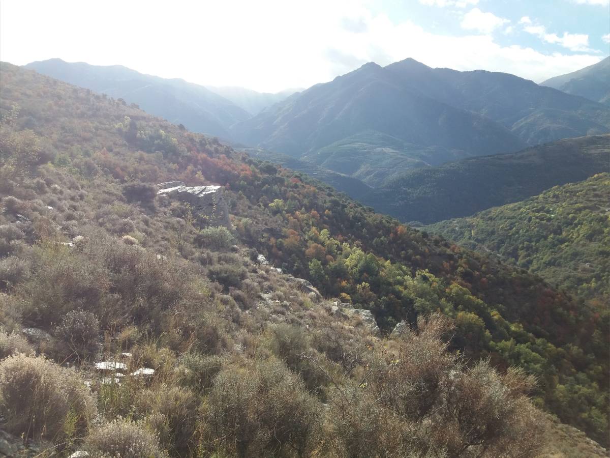 roc del Mitjans 1.jpg