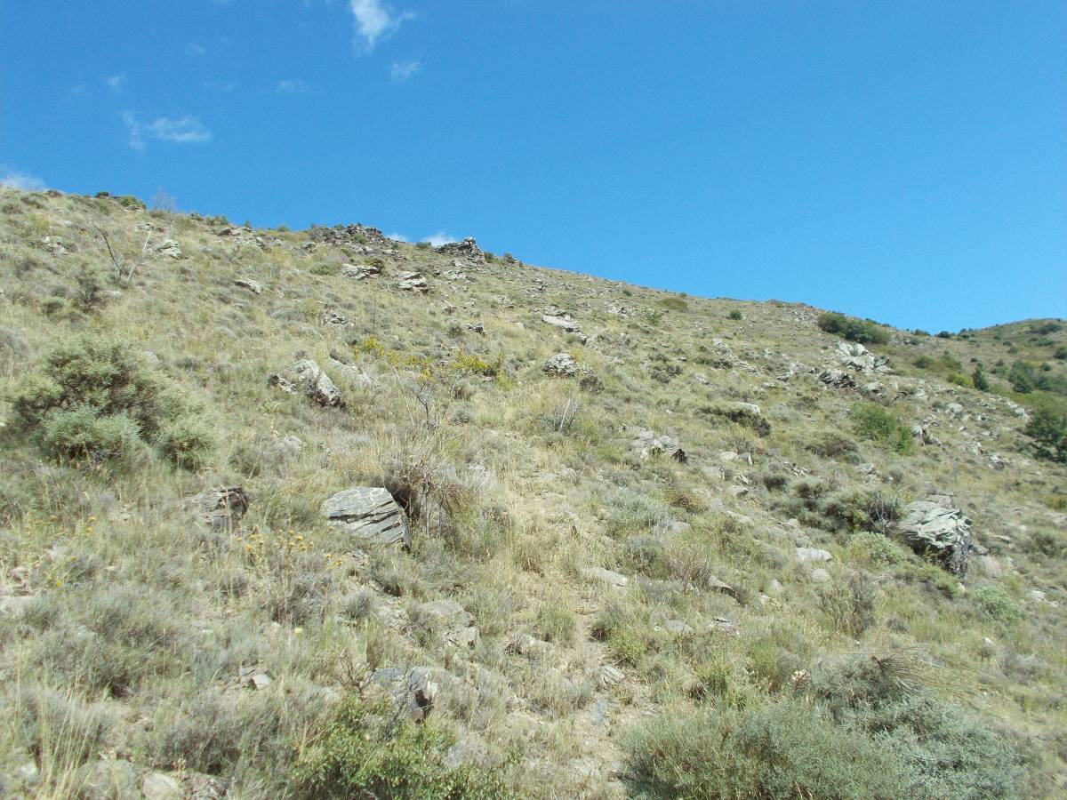 vallon des Mitjans.jpg