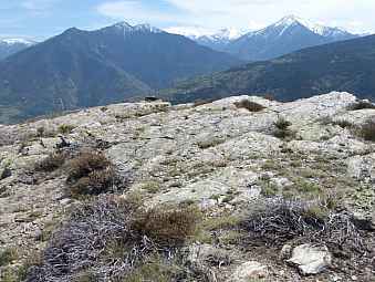 vue de la serre de palmes