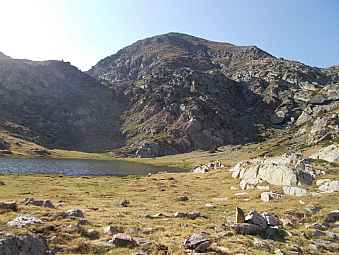 Estanyol 