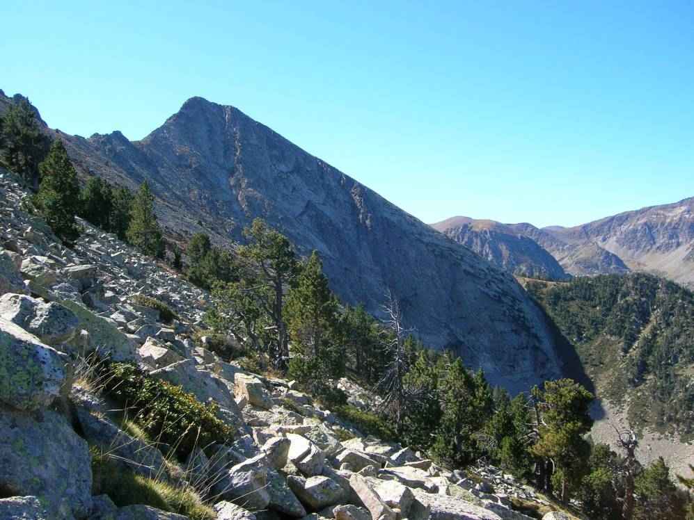 pic Monellet