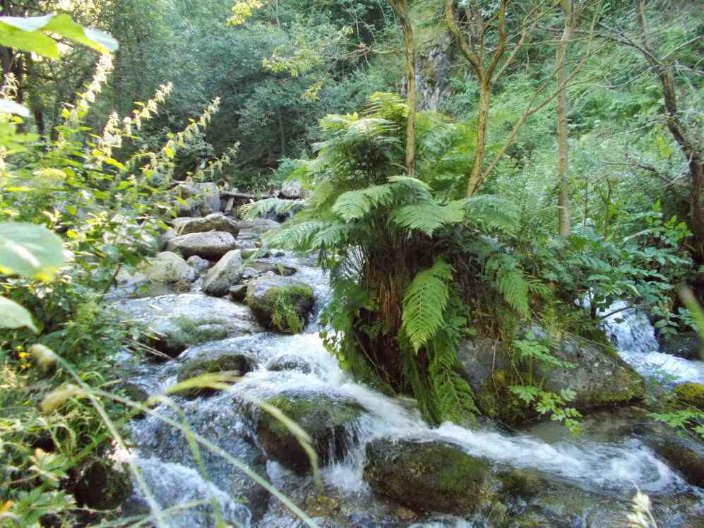riviere la rotja