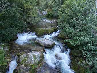 riviere de la rotja.jpg