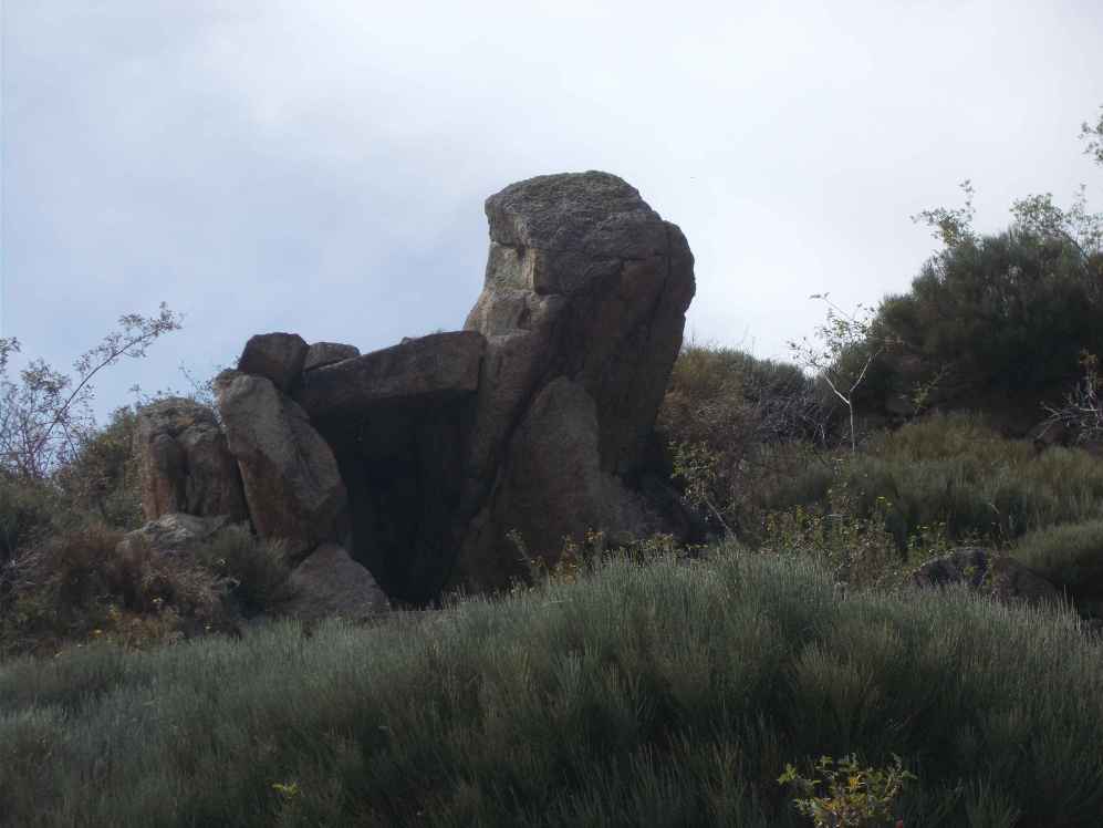 coves 