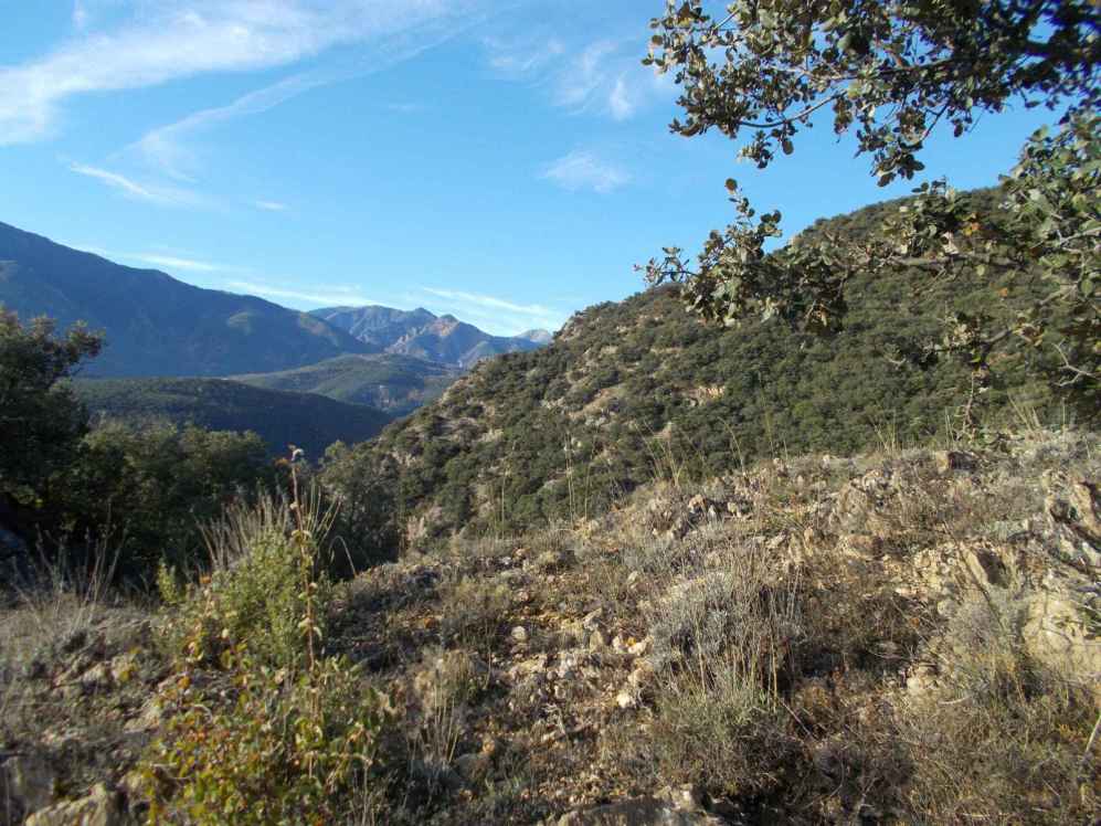 les Coves.jpg