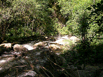 gorges de la caranca.jpg