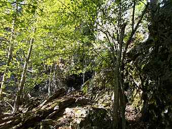 cascade de l'Ort.jpg