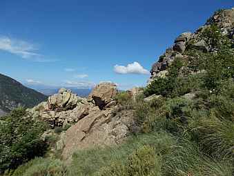 Corralets