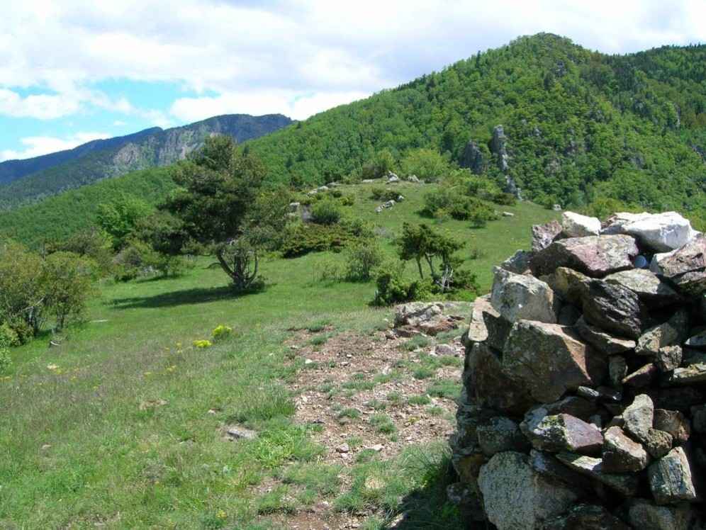 mas del baret