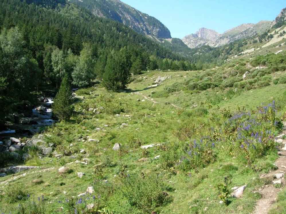 valle de la caranca