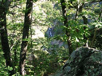 cascade des anglais.jpg