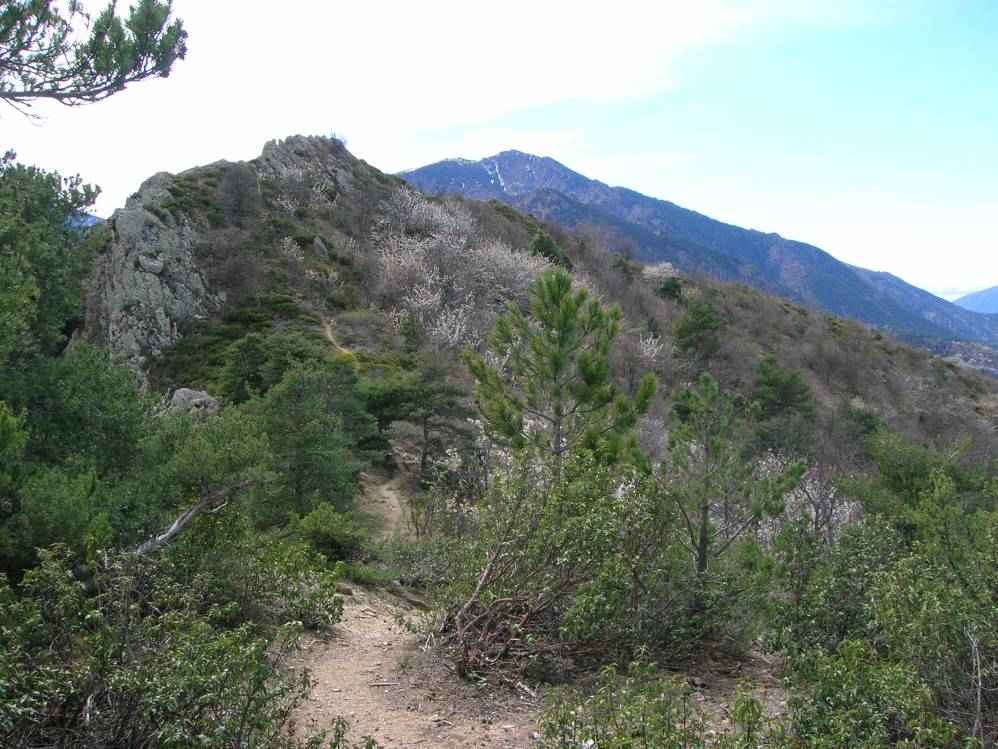 pic de la Pena