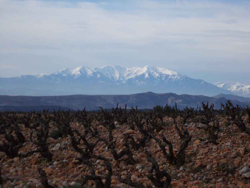 massif du canigou