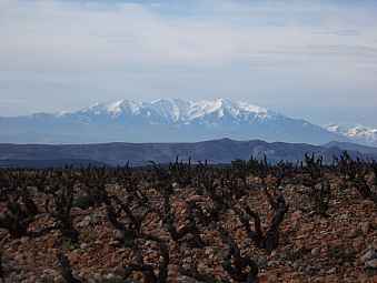 massif du canigou.jpg