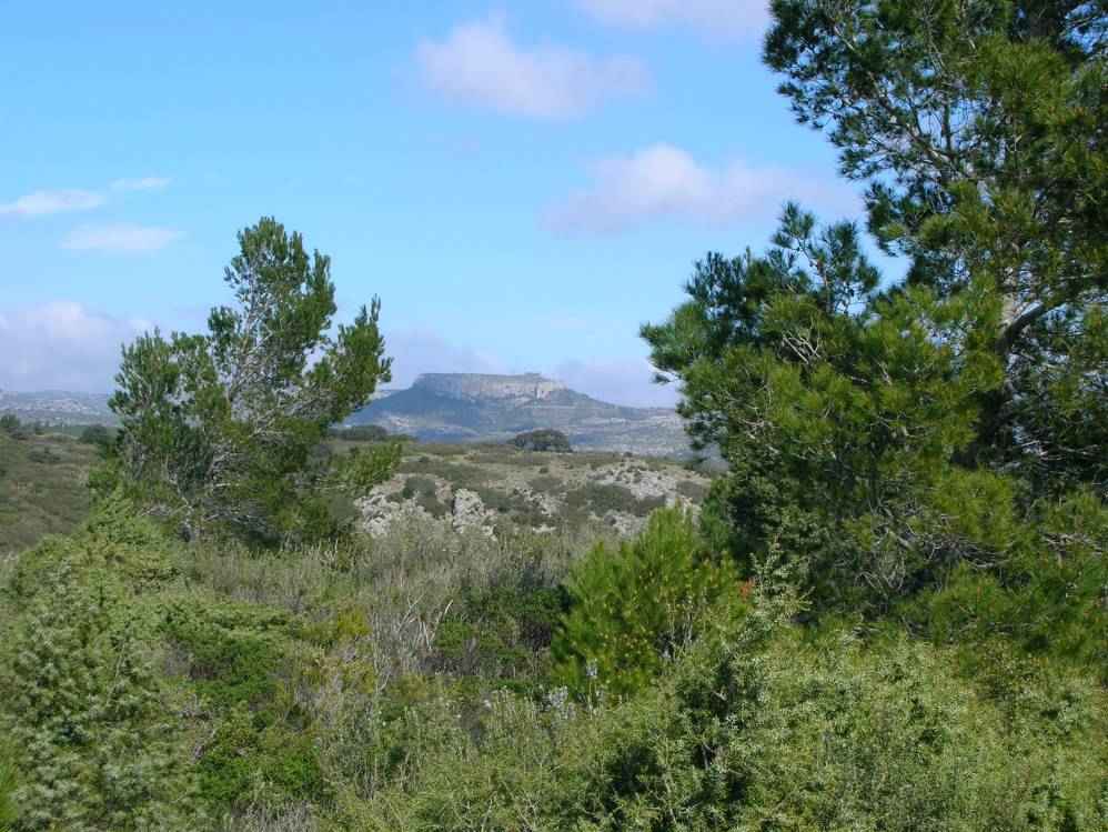 Chteau d'opoul
