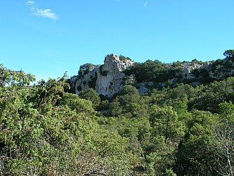 les conques.jpg