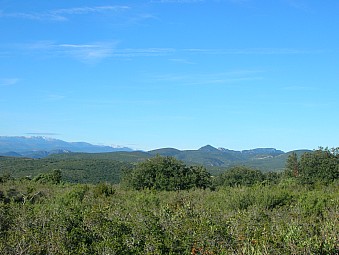 vallee du verdouble.jpg